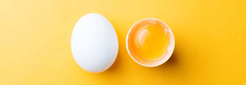 Eier-Frischetest: Sind die Eier noch gut?