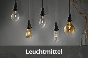 Bei Lampenwelt.de finden Sie ganz bequem genau das richtige Leuchtmittel für Ihre Leuchten.