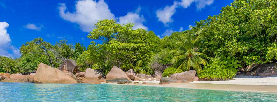 Der Paradise Beach auf den Seychellen