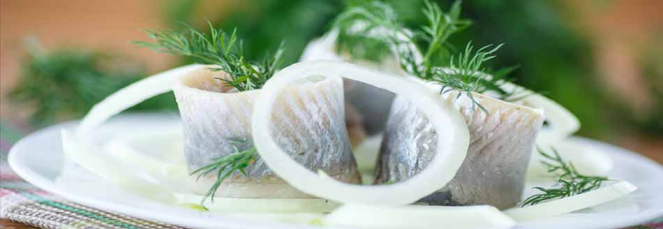 Hilft Rollmops wirklich gegen Kater?