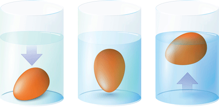 Eier testen: Sind sie noch frisch?
