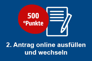 Jetzt ganz einfach online oder per Ausdruck den Mitgliedsantrag der BIG ausfüllen