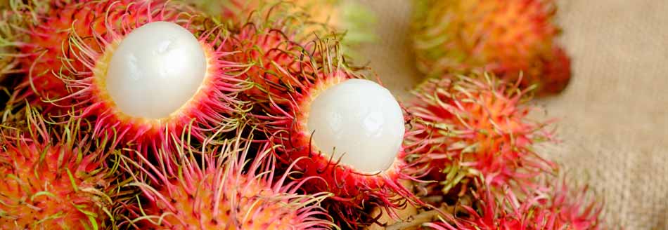 Rambutans liegen z. T. aufgeschnitten auf Holz