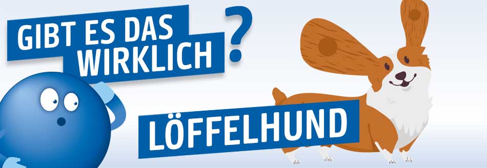 Ein Hund mit langen Löffelohren