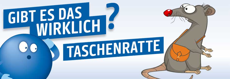 Eine Ratte hat eine Umhängetasche um