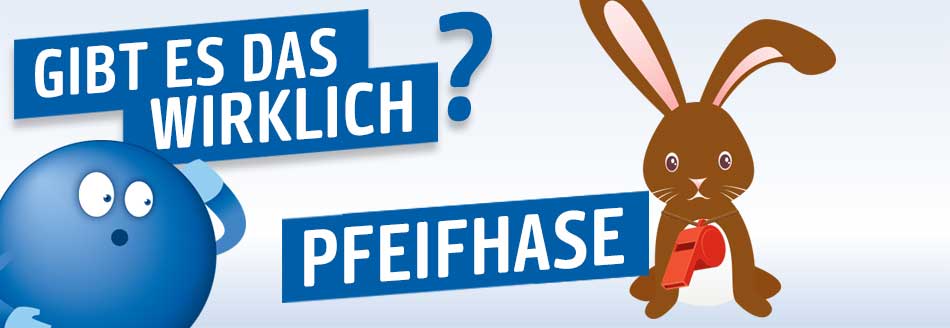 Gibt es den Pfeifhasen wirklich? 