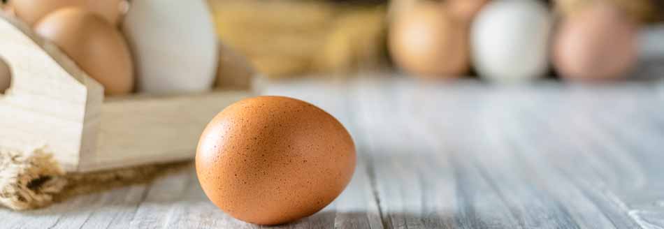 Farbe Eier: Weiße und braune Eier in Körben