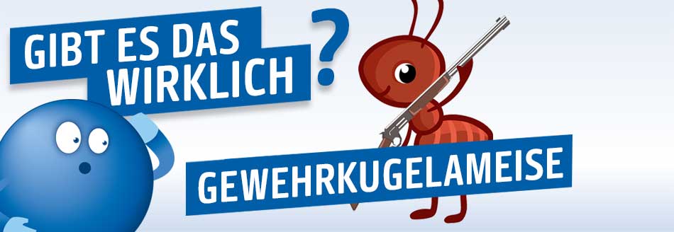 Gibt es die Gewehrkugelameise wirklich?