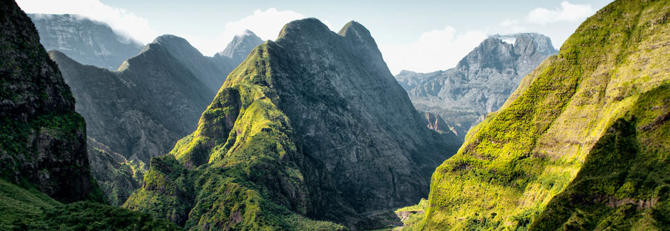 Unser Pointee ist auf La Réunion