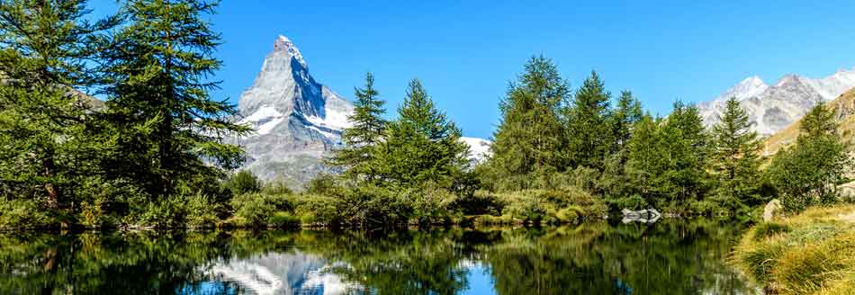 Unser Pointee ist in der Schweiz