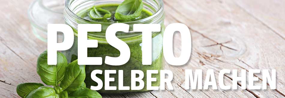 DIY: Pesto selber machen