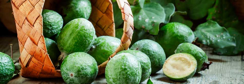 Feijoas leben in einem umgefallenen Körbchen