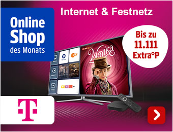 Online Shop des Monats