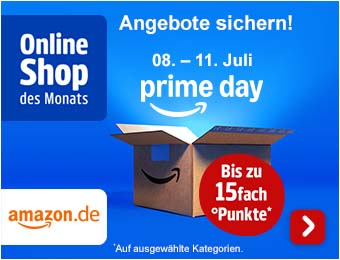 Online Shop des Monats