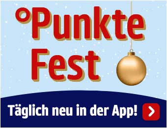 Online Shop des Monats