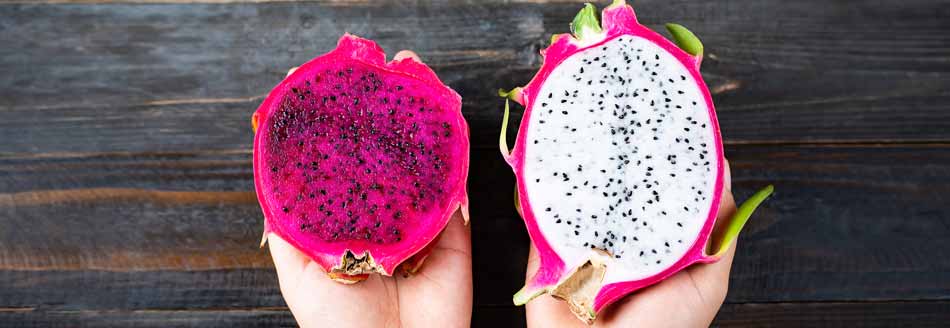 Pitahaya: Eine Frau hält zwei Arten der Drachenfrucht in den Händen