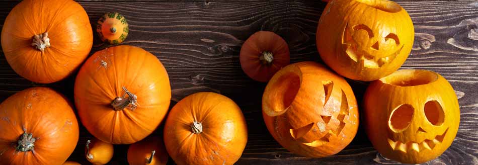 Halloween stammt aus Irland: Ausgehölte Kürbisse für Halloween