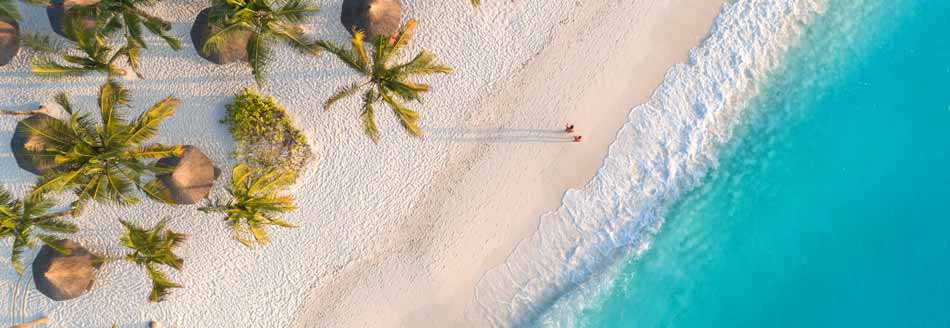 Ferien 2023: Strand mit Palmen