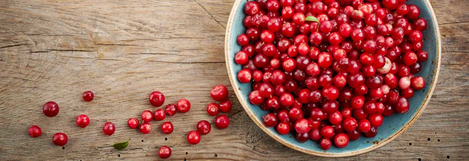 Cranberrys in einer Schale auf Holz