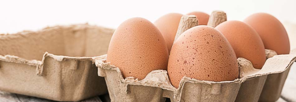 Eier im Kopfstand: Eier liegen im Karton