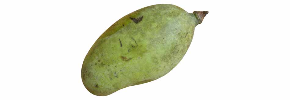 Pawpaw