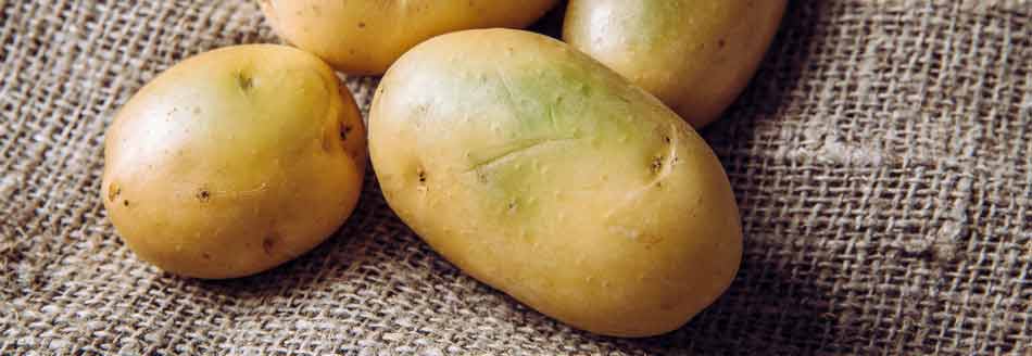 Kann man grüne Kartoffeln essen? Kartoffeln mit grünen Stellen
