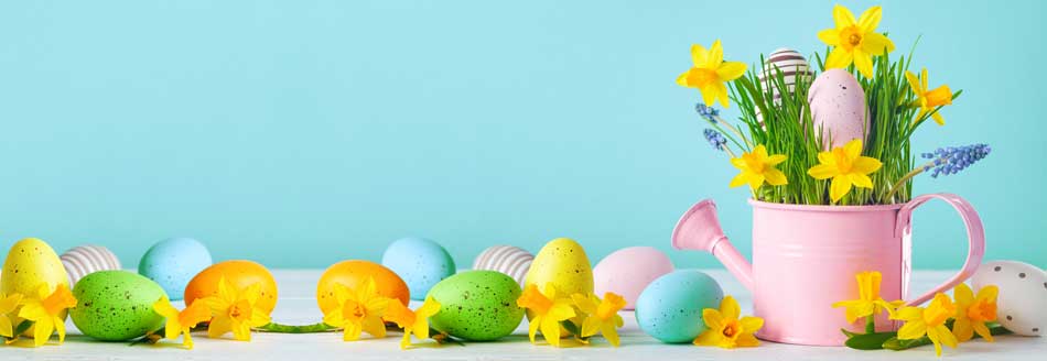 Wann ist Ostern? Eier und Frühlingsblumen treffen eine Gießkanne