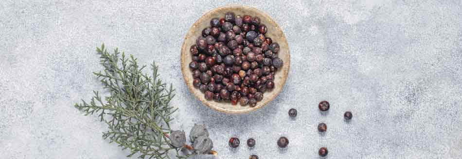 Wacholder: Getrocknete Beeren in einer Schale
