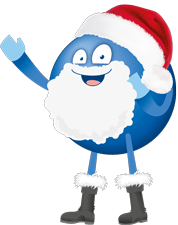 Ein Pointee als Weihnachtsmann