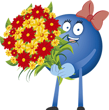Blumen zum Valentinstag