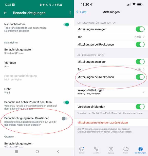 WhatsApp Reactions: Benachrichtigungen unter Android und iOS ausschalten