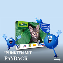 Punkten mit PAYBACK