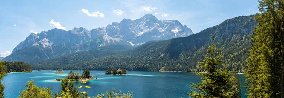 Unser Pointee ist an der Zugspitze