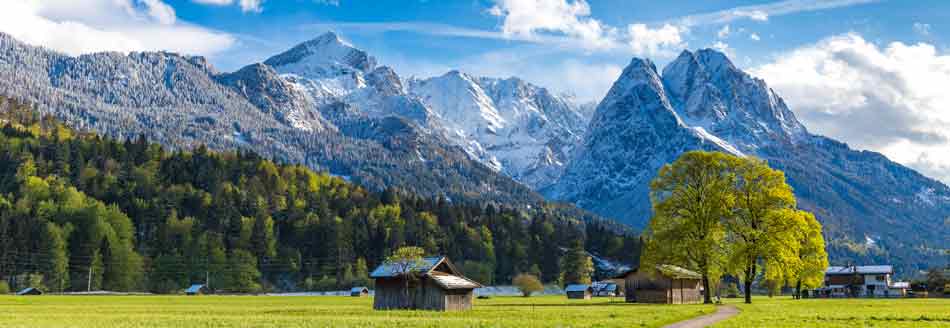 Eine Sommerwiese vor der Zugspitze