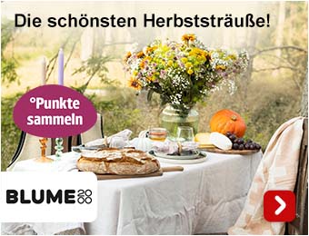 Extra°Punkte sammeln!