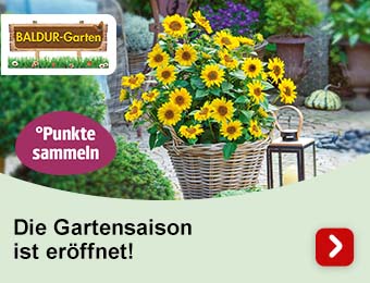 Extra°Punkte sammeln!