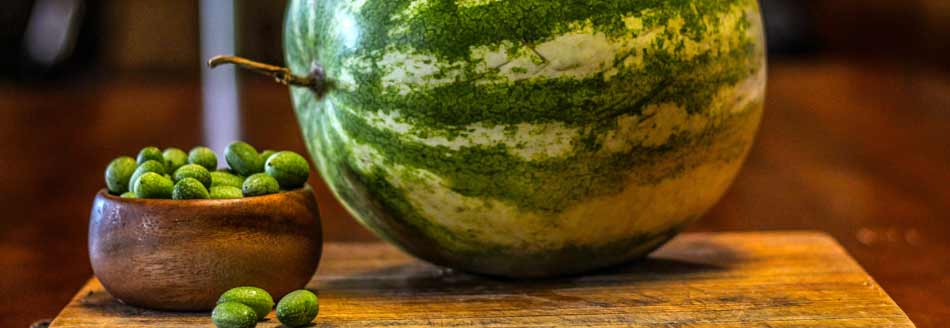 Die Cucamelon lebt in der Nähe einer Wassermelone gefährlich