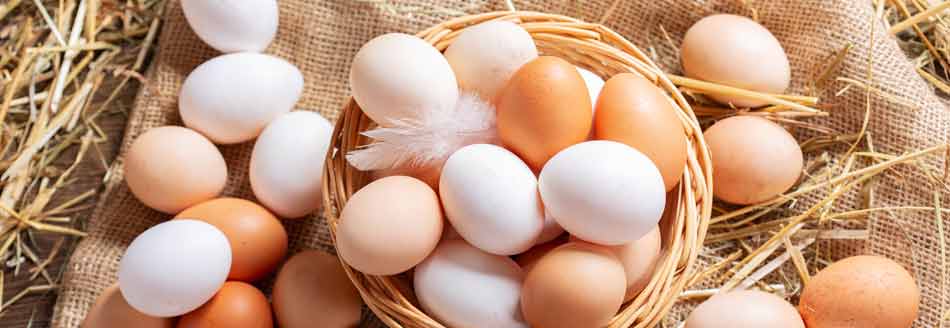 Ei-Gewicht: Was wiegt so ein Ei eigentlich?