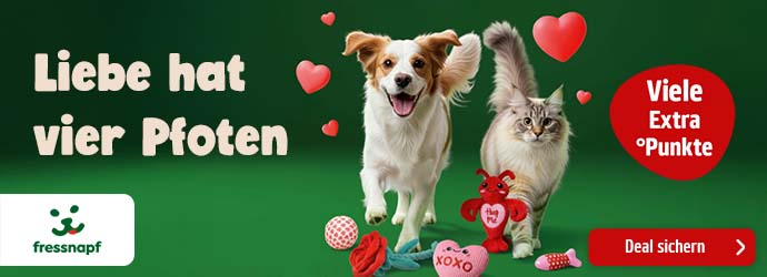 PAYBACK und Fressnapf: Starke Deals & viele Punkte!