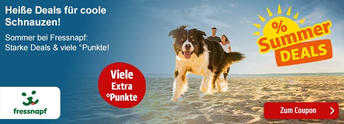 PAYBACK und Fressnapf: Starke Deals & viele Punkte!