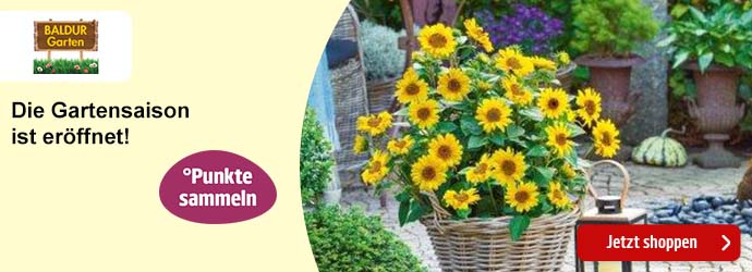 Tekkie X-Mas bei Conrad