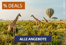 Giraffen auf einer Savanne, im Hintergrund ein schwebender Heißluftballon.