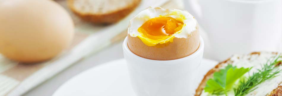 Ein Frühstücksei in einem Eierbecher