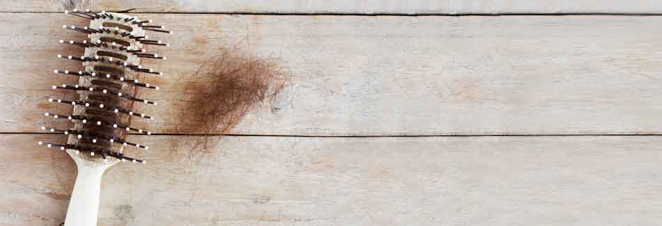 Haarbürste voller Haare. Eine Folge von Eisenmangel kann Haarausfall sein.