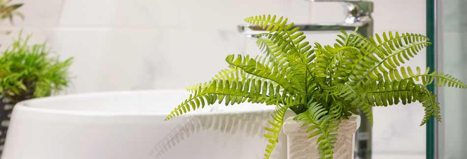 Eine Pflanze steht in einem Badezimmer