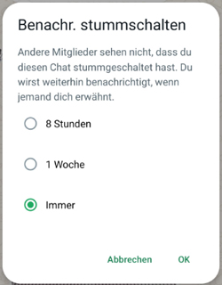 WhatsApp-Tricks: So stellst Du eine Unterhaltung stumm